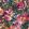 Tahiti Wallpaper by Clarke & Clarke Amethyst/Emerald