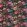 Tahiti Fabric by Clarke & Clarke Amethyst/Emerald