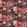 Tahiti Fabric by Clarke & Clarke Fuchsia