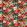 Tahiti Fabric by Clarke & Clarke Rouge