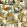 Tahiti Expression Wallpaper by Tres Tintas Green