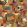 Tahiti Expression Wallpaper by Tres Tintas Orange
