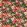 Tahiti Outdoor Fabric by Clarke & Clarke Fuchsia