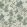 Tangleby Wallpaper by Josephine Munsey Aqua