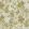 Tangleby Wallpaper by Josephine Munsey Yellow