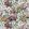 Tapestry Flower Fabric by Designers Guild Eau De Nil