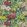 Tapestry Flower Fabric by Designers Guild Vintage Green