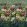 Tapestry Flower Mural by Designers Guild Vintage Green