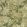 Tapestry Trees Wallpaper by Sanderson Woodland Green