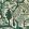 The Enchanted Woodland Wallpaper by MINDTHEGAP Green Taupe