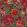 The Flowering Wallpaper by MINDTHEGAP Green