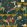 The Grand Pour Wallpaper by Brand McKenzie Dirty Olive