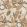 The Lost Garden Fabric by Casamance Multico Neutre