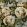The Rose Wallpaper by Designers Guild Steel