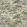 The Stumpery Wallpaper by Sanderson Fern