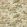 The Stumpery Wallpaper by Sanderson Lichen