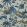 Tiger Reserve Wallpaper by Thibaut Navy