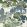 Asian Scenic Wallpaper by Thibaut Blue and Green