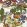 Asian Scenic Wallpaper by Thibaut Coral and Green