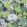 Honshu Wallpaper by Thibaut Grey