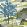 Daintree Wallpaper by Thibaut Bluemoon