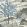 Daintree Wallpaper by Thibaut Aqua