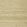 Maranta Arrowroot Wallpaper by Thibaut Beige