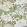 Mitford Fabric by Thibaut Paramount
