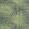 Palm Frond Wallpaper by Thibaut Black and Green