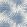Palm Frond Wallpaper by Thibaut Navy and White