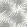 Palm Frond Wallpaper by Thibaut Black and White
