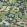 Thorpe House Fabric by Liberty Purslane
