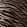 Tiger Fabric by Arley House Cashmere