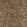 Tigress Velvet Fabric by Schumacher Champagne