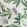 Passion Flower Fabric by Titley And Marr Summer