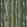 Tivoli Fabric by Arley House Cypress