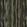 Tivoli Fabric by Arley House Spruce