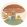 Toadstool Town Rug by Villa Nova Yellow