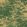 Toile Silk Wallpaper by Jannelli&Volpi Green
