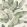 Tom Wallpaper by Sandberg Garden Green