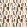 Torillo Fabric by Harlequin Black Earth/Cornflower/Walnut