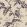 Toromiro Wallpaper by Langelid Von Bromssen Aubergine
