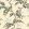 Toromiro Wallpaper by Langelid Von Bromssen Olive