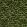 Tortoise Wallpaper by Schumacher Amazon