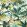 Toucan Wallpaper by Clarke & Clarke Antique