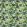 Toucan Outdoor Fabric by Clarke & Clarke Sky
