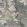 Trailing Magnolia Mural by 1838 Wallcoverings Burnished