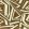 Transverse Wallpaper by Harlequin Bronze