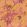 Tropic Wallpaper by Woodchip & Magnolia Sunset Orange