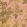 Tropic Wallpaper by Woodchip & Magnolia Sunset Pink